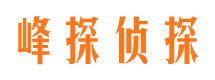 苍溪侦探公司